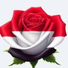 user6136262930291
