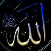 user44618533394442