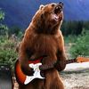 theroachwithana