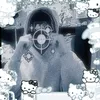 donutgrimes