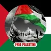 hassanalsebehy