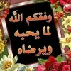 user3257386381676