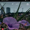 user6213174661293