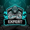 expert__00