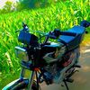 user1981245974720