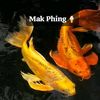 phingchiling7