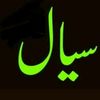 asifsial6982