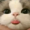 nguyenanh_k9