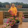 sumari67