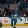 sharks_fanforlife