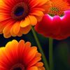 mrs9u