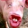 hftyugdetuuj