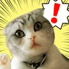 user3502116175021