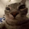 kehyuhn_