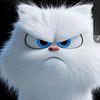 fierus00