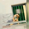 mohamedelsayed9204