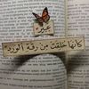 abeer.anwr