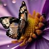 meryem8839
