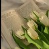 dodo.mohamed4846