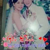 trn.phc.li7