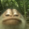 taodeptrynhattg2