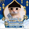 tanzz_ml