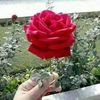 abdul.qaum26