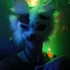 kot_napkot