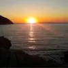 rachidalloo