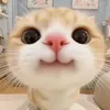 hnhw22_2