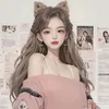 hoaian.023