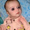 muhammadabduallah72