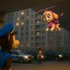 paw.patrol8240
