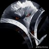 emirlethug1