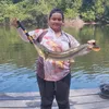tamella_piires