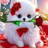 rukhmin.rampersad