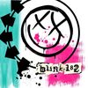 bl1nk666