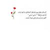 miaallll_