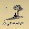 user84241974669617