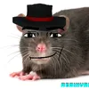reainvrek