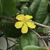 khoankhoan16