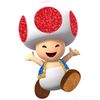 original.toad