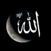 aslammohmd6