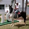 marcos.ribeiro75