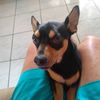 franciscoduartesa7