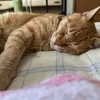 kei_rapyu28