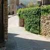 carmengonzal852
