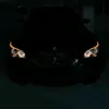 kochambmwe60
