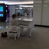judiths_piano_family