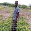 mohammed.diini
